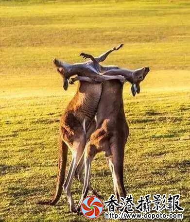 QQ图片20151010192635.jpg