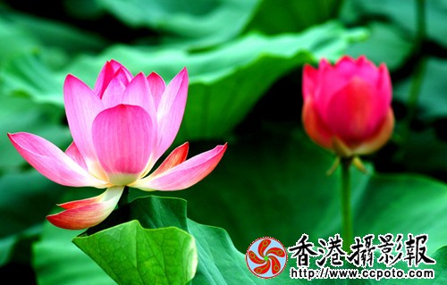 5_副本.jpg