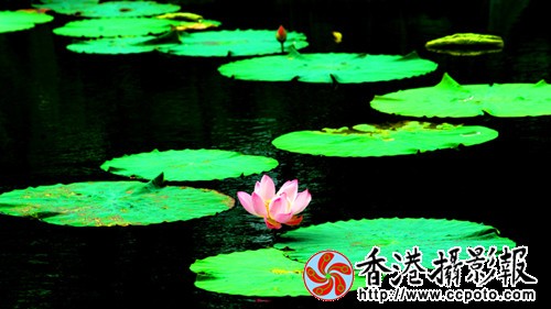 7_副本.jpg