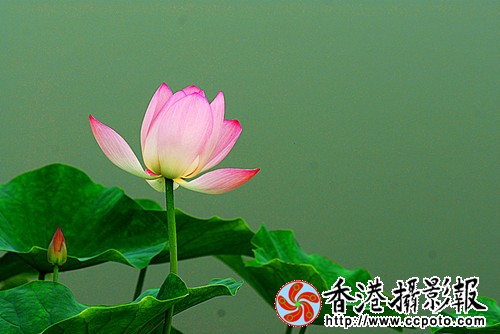 26_副本.jpg