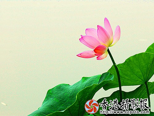 23_副本.jpg
