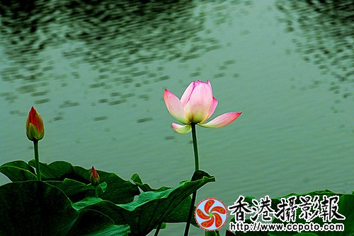 30_副本.jpg