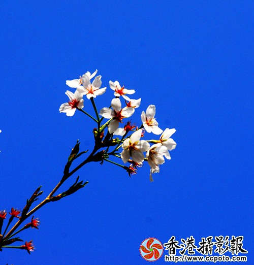 4_副本.jpg