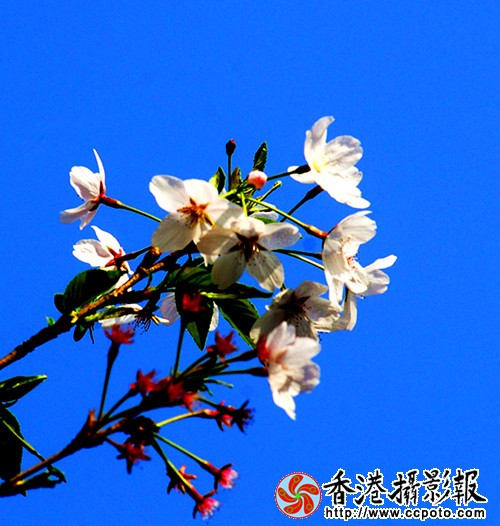 7_副本.jpg