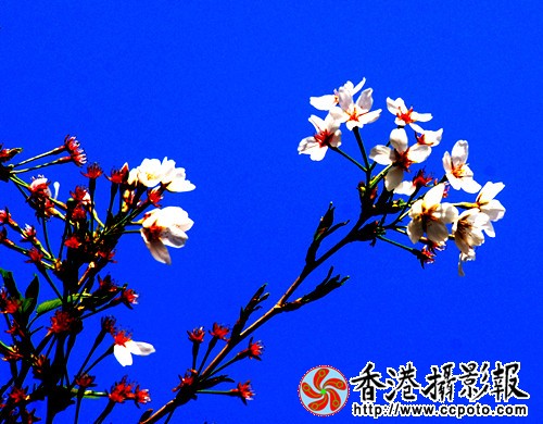 10_副本.jpg