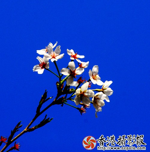 11_副本.jpg