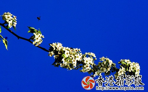 15_副本.jpg