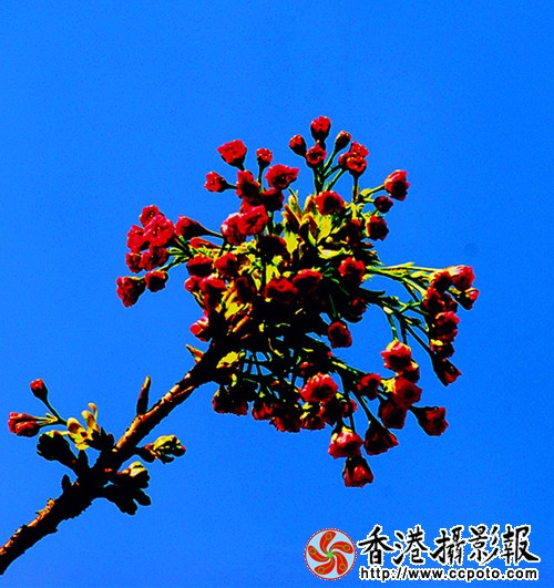 28_副本.jpg