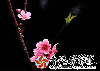 34_副本.jpg