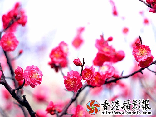 15_副本.jpg