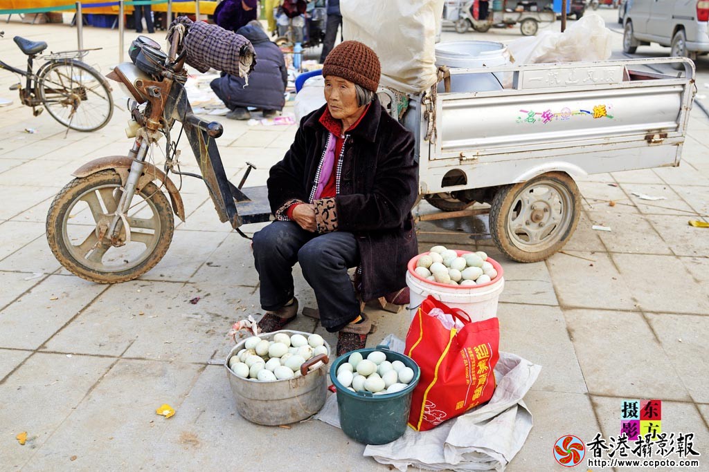 银杏节上的小集市4..jpg