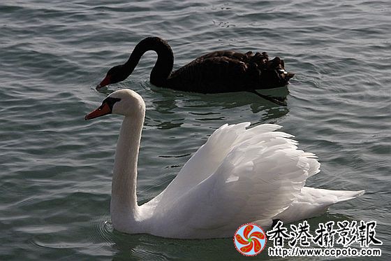 和谐之家