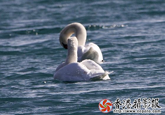 亲密热吻