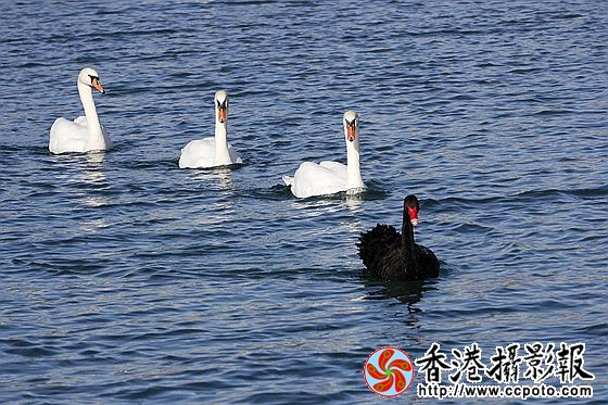 天堂乐园