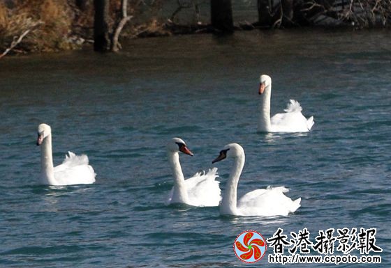 天堂乐园