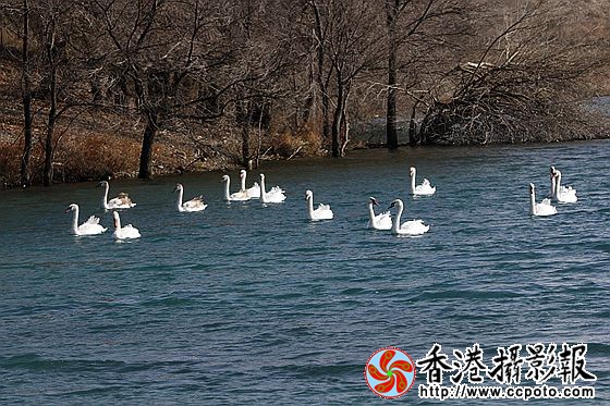 天堂乐园