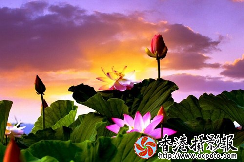 QQ图片20151116130727.jpg