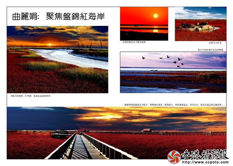 聚焦盘锦红海岸1.jpg