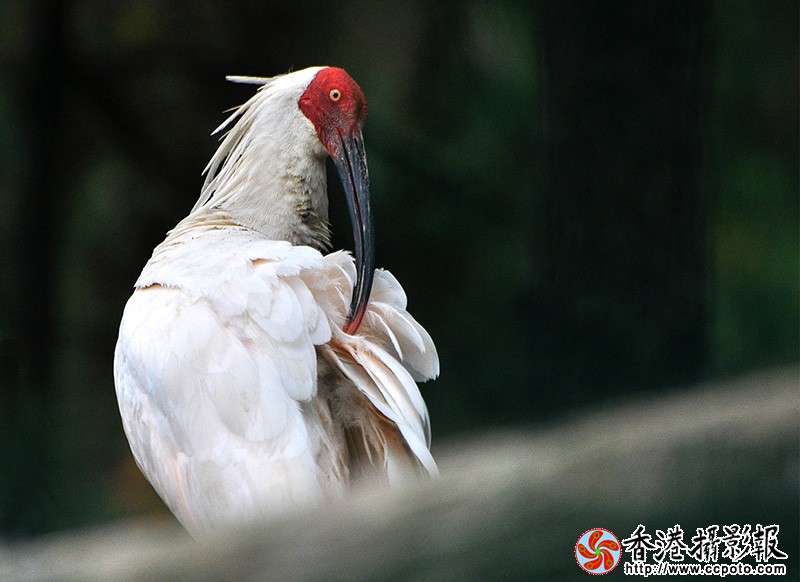 DSC_0065副本.jpg