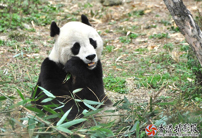 DSC_0032副本.jpg
