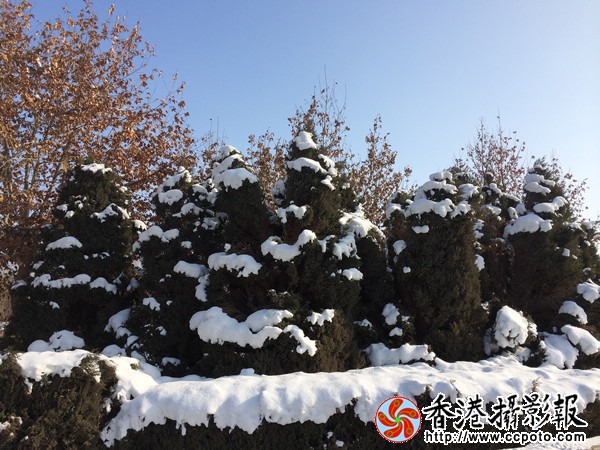 CC138DEF-232A-4DA3-80A9-47D77F27D3A4_副本600.jpg