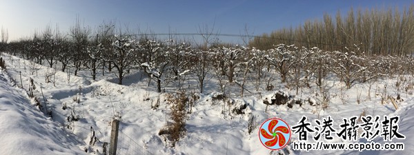 00F238CC-AE35-4ACD-AB48-9C662560C64E_副本_600.jpg