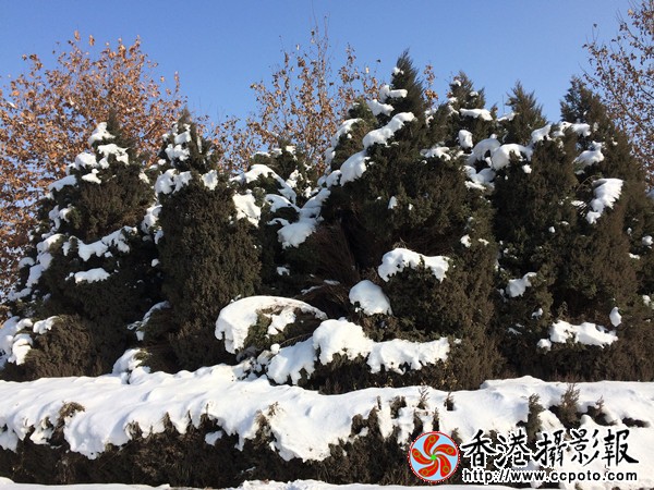 B1A8A8D4-02CB-4FE5-A3BB-7D357EFF0940_副本600.jpg