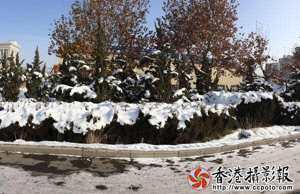B8CA8E15-0195-4717-86B0-7464AF36894A_副本600.jpg