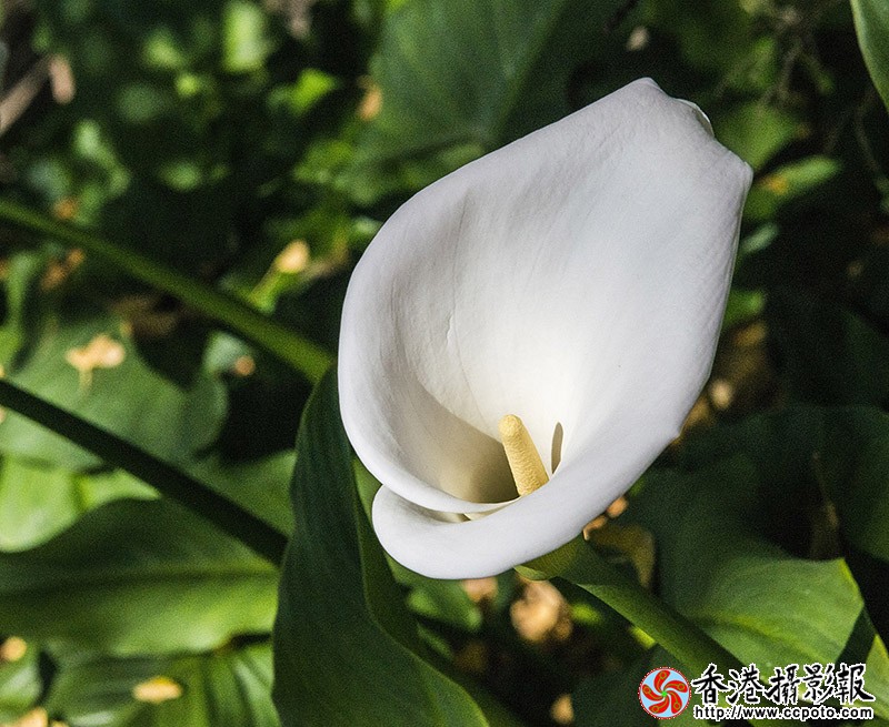 DSC_1677副本.jpg