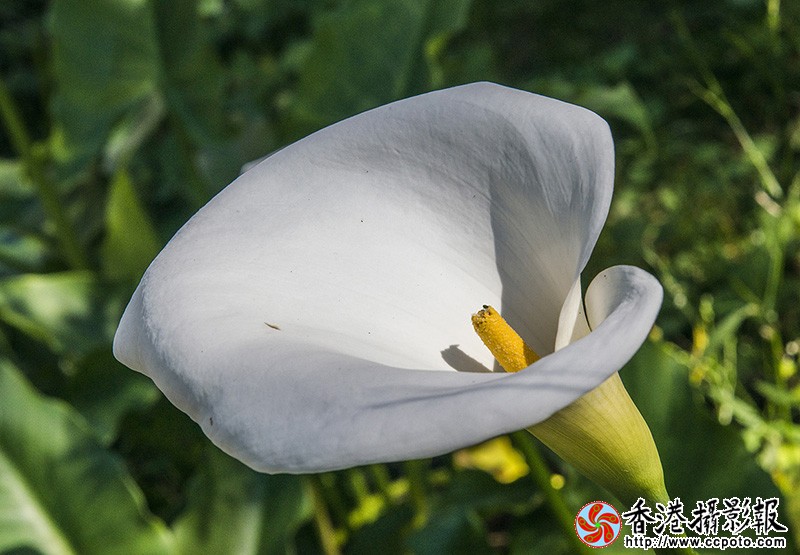 DSC_1681副本.jpg