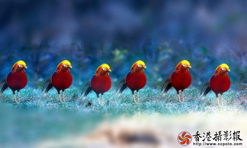 H46R7656_副本_副本.jpg