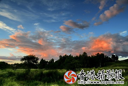 DSC_2458za_调整大小.jpg