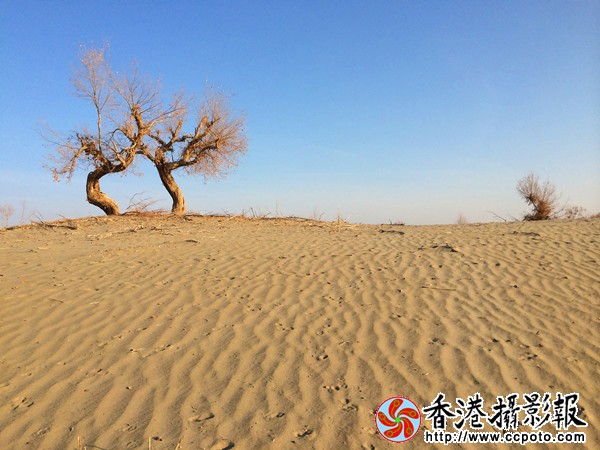 86C00F1D-DF25-476E-A136-323B3983A830_副本_600.jpg