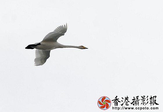 赛湖冬韵