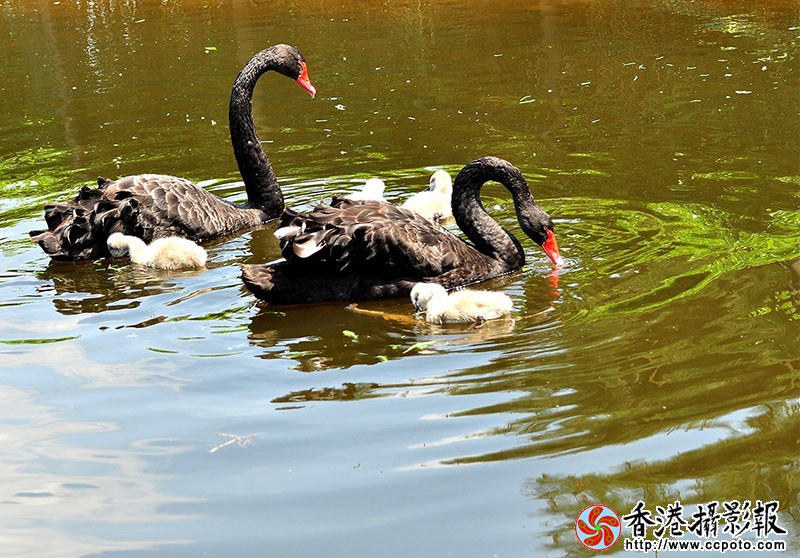 DSC瞧这一家子_0048副本.jpg