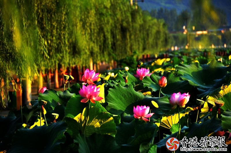 图像0342mmxx.jpg
