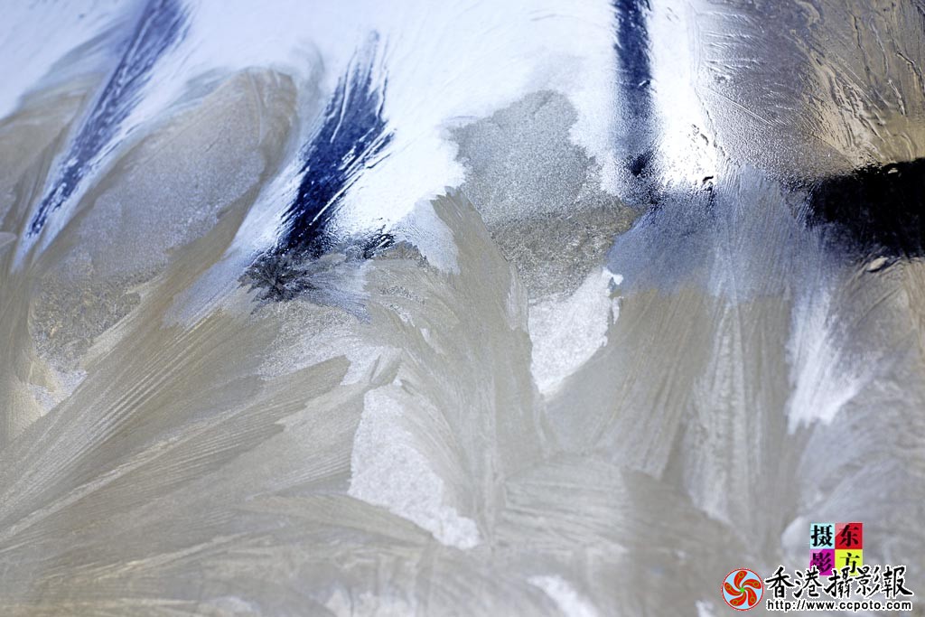 窗上的冰花5..jpg
