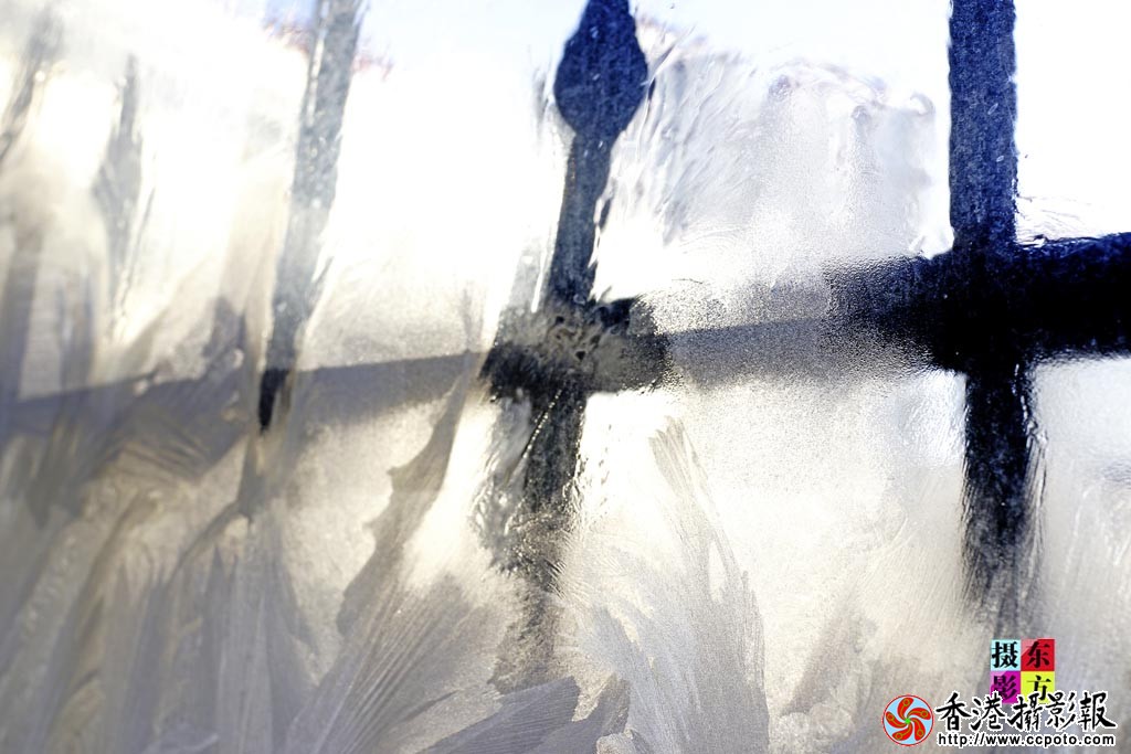窗上的冰花6..jpg