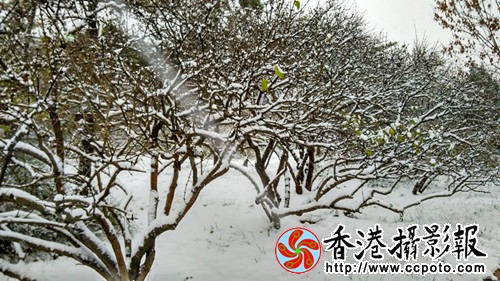 1_副本.jpg