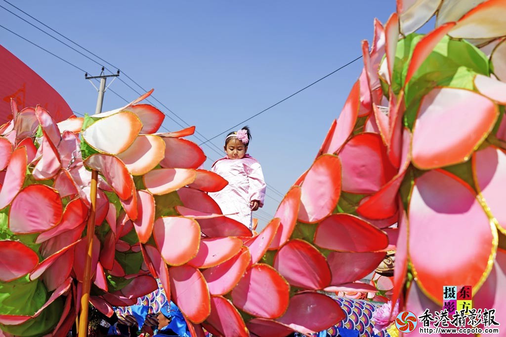 地上宝贝杠上花15..jpg