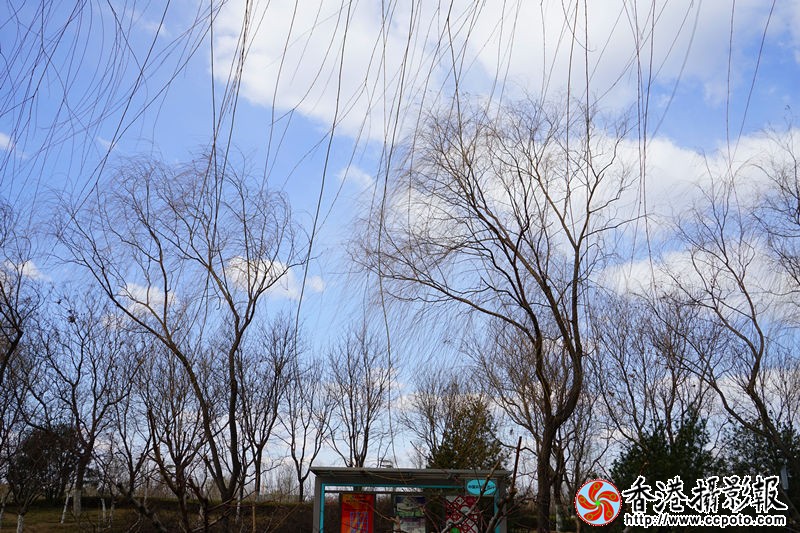 DSC07845_副本.jpg