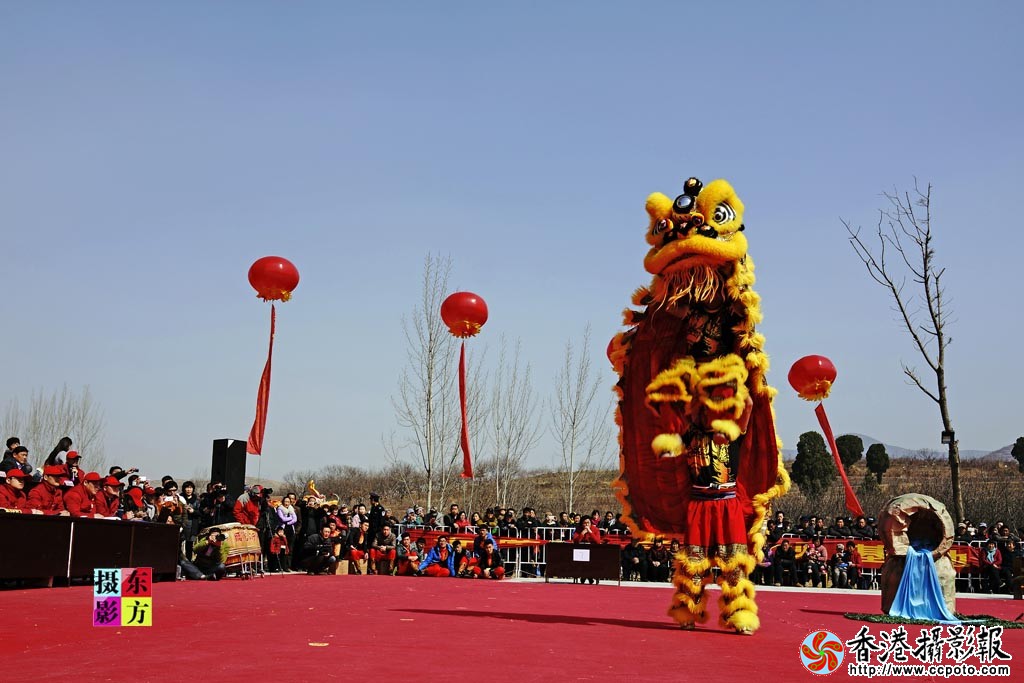 南狮大赛3..jpg