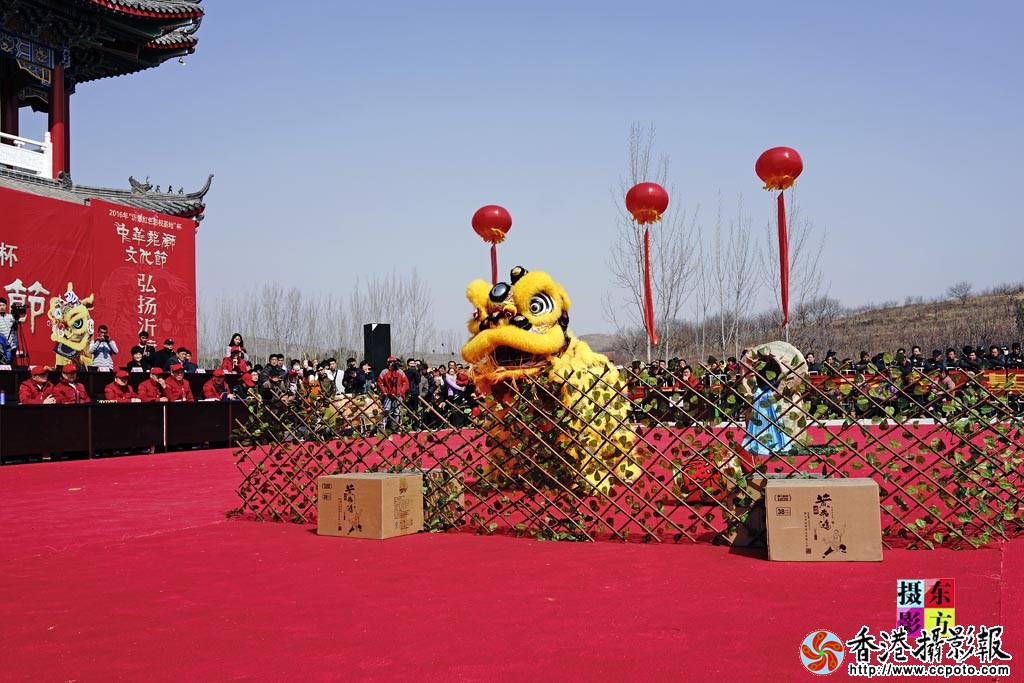 南狮大赛5..jpg