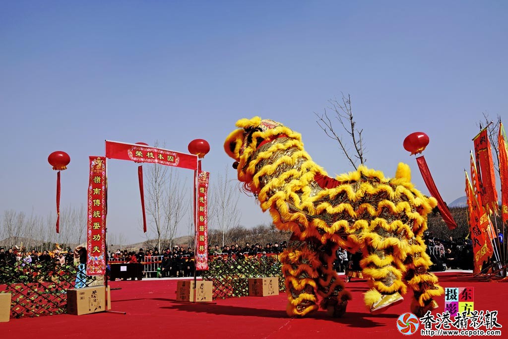 南狮大赛8..jpg