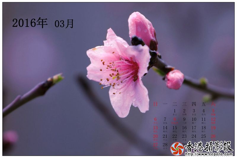 笑迎春风_副本.jpg