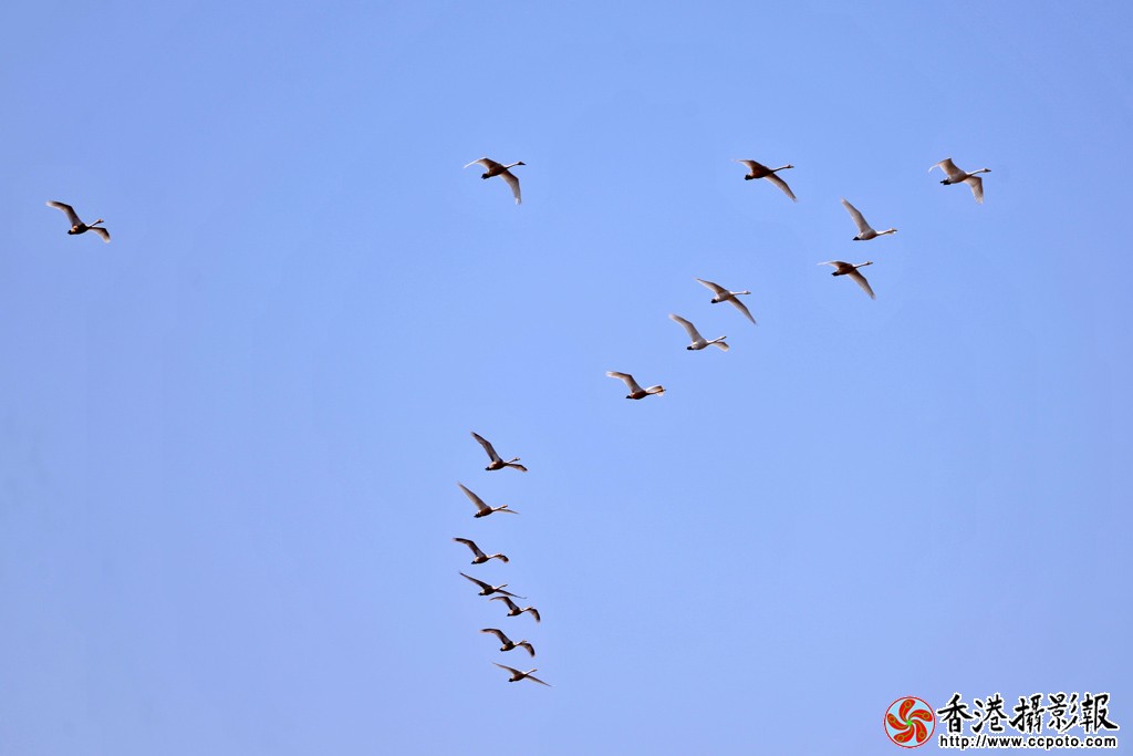 008 空中翱翔.jpg