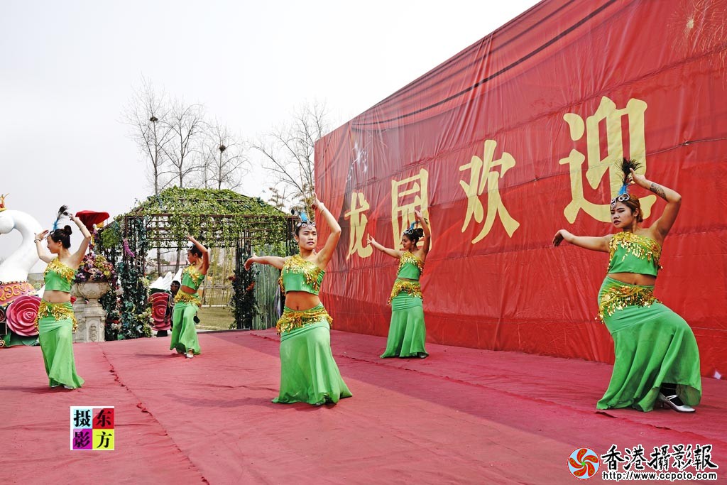 龙园歌舞表演5..jpg