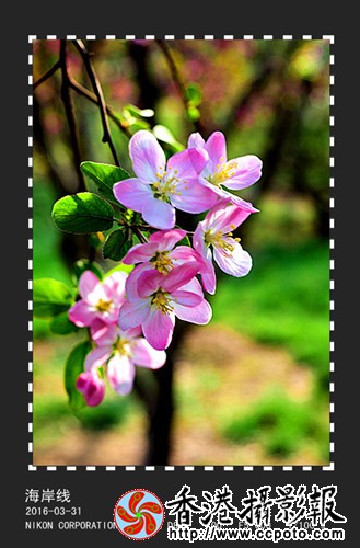 DSC_2421_副本_副本.jpg