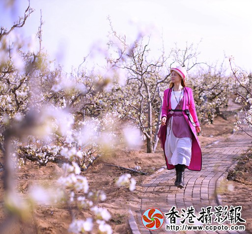 DSC01027_副本_副本.jpg