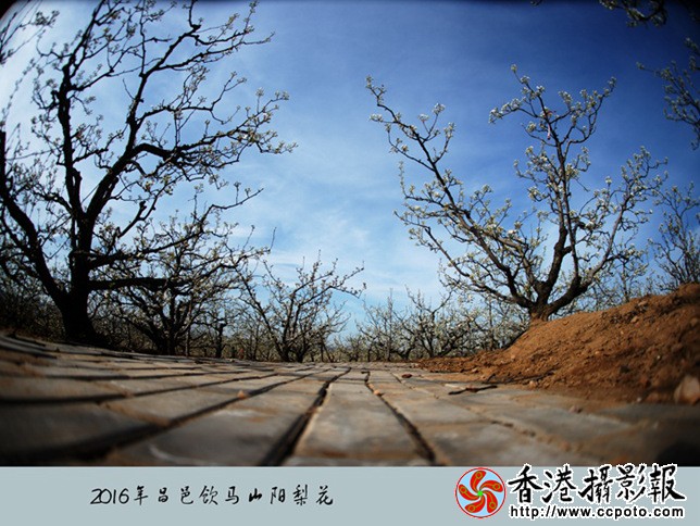DSC00789_副本.jpg